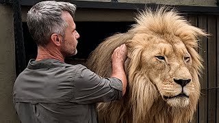 ANIMAL REUNION Best Welcome? A Unique Bond! | The Lion Whisperer