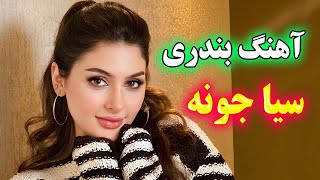 persian music 🌹 آهنگ شاد بندری سیا خیلی جونه سیا