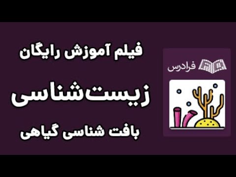 تصویری: بافتهای گیاهی و مشخصات مختصر آنها