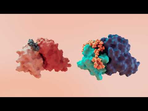 Sanavia Oncology Intro Video