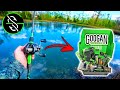 We Created the ULTIMATE Pond Fishing MEGA KIT (EVERYTHING You Need to Catch Fish!!)