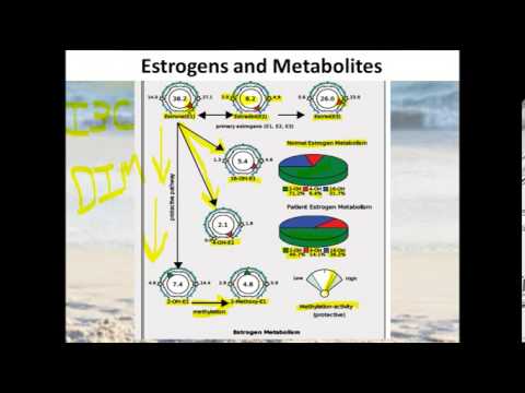 Video: Endogeninių Estrogenų Ir Estrogenų Metabolitų Koncentracija žmogaus Naviko Ląstelių Linijose NCI-60