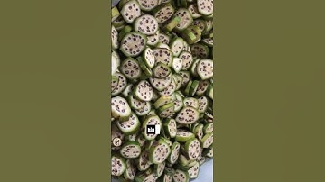 Đánh tan sỏi thận bằng chuối hột - THUỐC NAM TRƯỜNG SINH - BẢO KỲ NAM