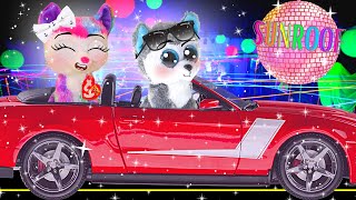 Beanie Boo Music Video!  Sunroof