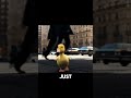 YOU NEED TO SEE THIS – A Lost Duckling’s Journey Back Home 🐥😭