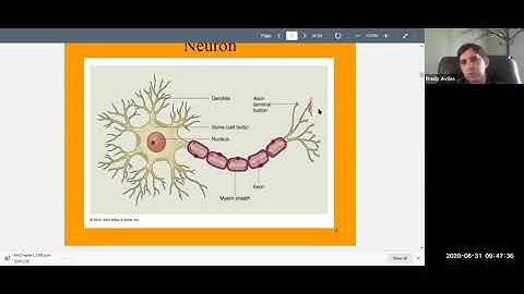 Psychology 101 Chapter 3 (Biopsychology) Lecture Part 1