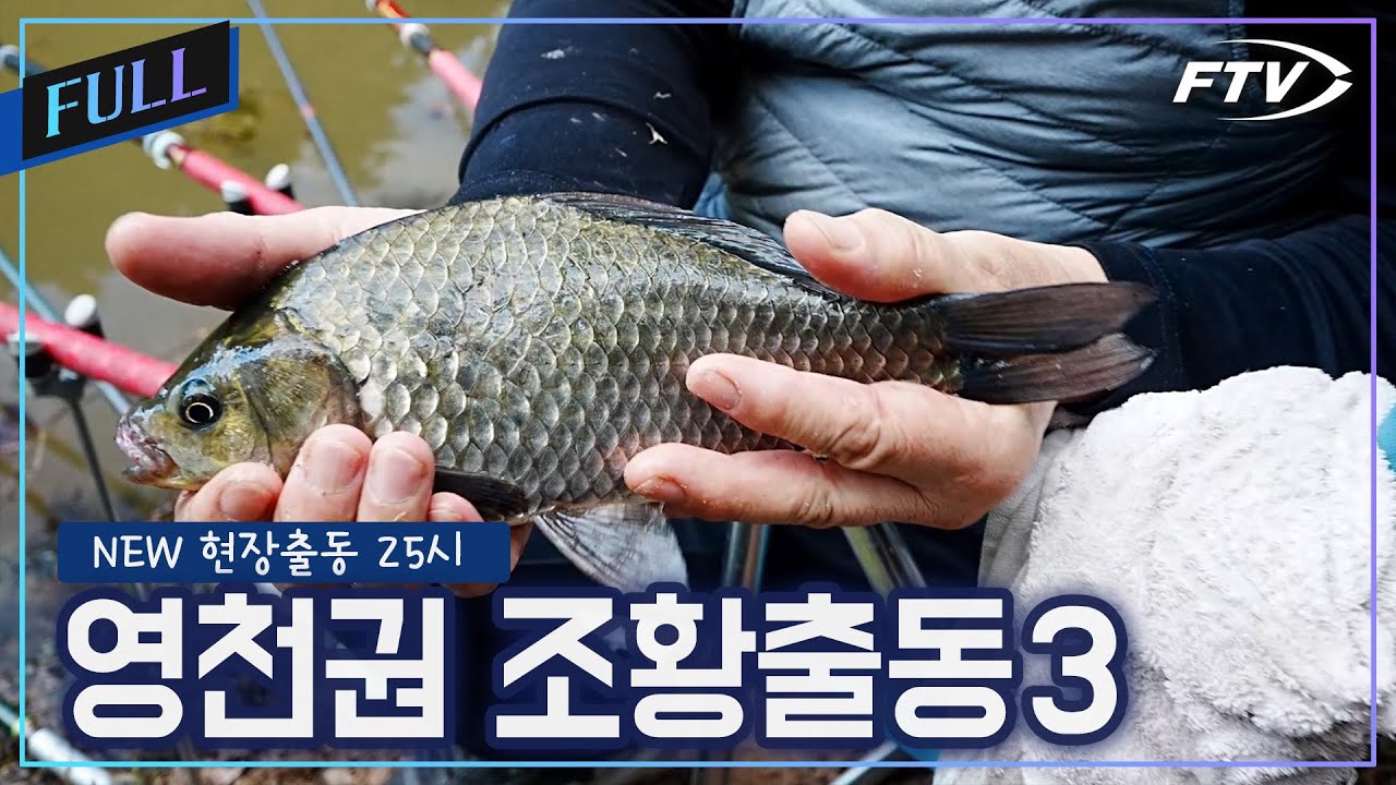 영천권 조황출동3 [NEW현장출동25시/115회]