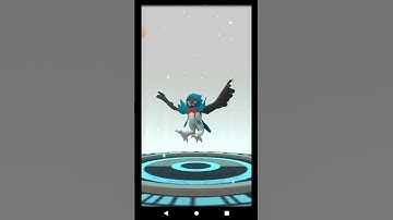 I evolve my shiny Dartrix in Pokemon go #shorts #pokemongo