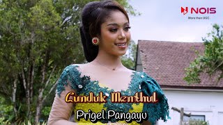 CUNDUK MENTHUL - PRIGEL PANGAYU - HQ AUDIO