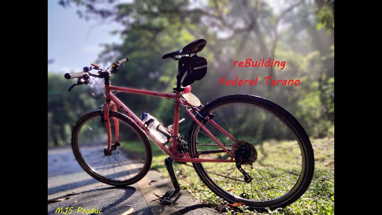 rebuilding federal terino