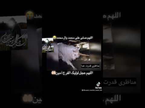 ظهور نزدیک است آخر زمان شده یا مهدی ادرکنی عج