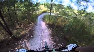 Wild Thing / Stairway to Heaven: Virginia Key North Point Trails 2/8/15
