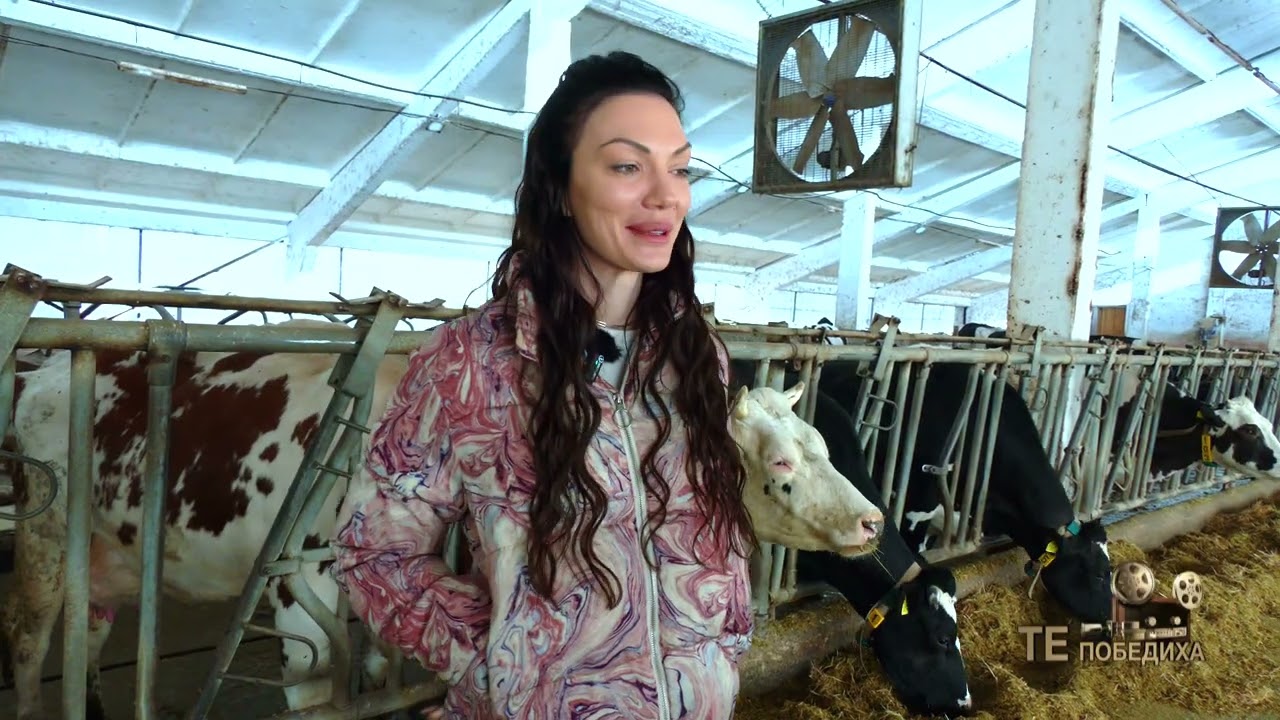 Те Победиха: Ценностите на една традиция