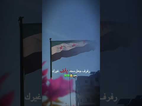 رفرف ياكايدهن علم الثورة السورية