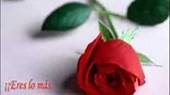 INOLVIDABLE AMOR LOS YONIC´S INOLVIDABLE AMOR LOS YONIC´S