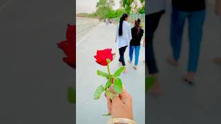 S To Ry 1.50Lakh Views