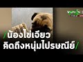 เอ็นดู "น้องไข่เจียว" นั่งหงอยคอยพี่ไปรษณีย์ | 09-03-64 | ข่าวเย็นไทยรัฐ