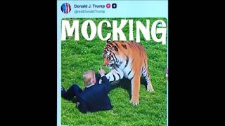 Trump Posts AI Video Mocking Man's Killing By Tiger