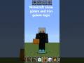 Minecraft snow golem and iron golem logic
