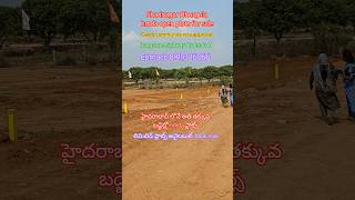 #Shadnagar  Bhurgula low budget hmda investment plots #Shadnagar open plots