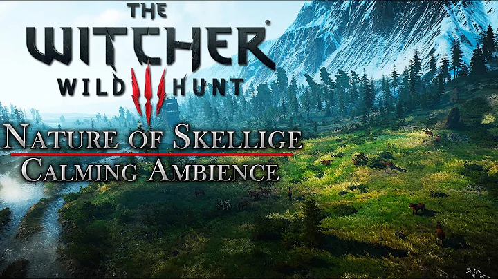 Nature of Skellige | The Witcher 3 - Relaxing Music & Ambience