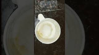 mango lassi #foodrecipes #food #summershorts #summerdrink #viral #recipe #ytshorts