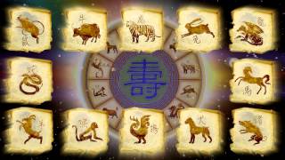 Выбери свой знак зодиака! Horoscope. Знаки зодиака, год рождения. Выбери свой знак зодиака! Horoscope. Знаки зодиака, год рождения.