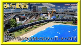 【走行動画】KATO 10-1670 客車編成セット(きたぐに)（ナハ11 ナハフ11編成）【鉄道模型・Nゲージ】