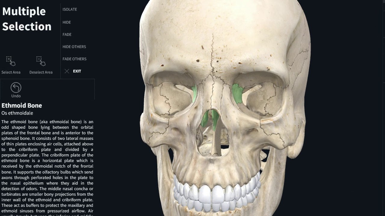 ANATOMIE STRUCTURE OSSEUSE DE LA TÊTE