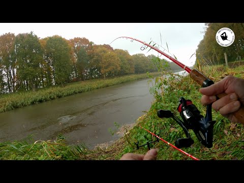 Video: Vissen Pompen?