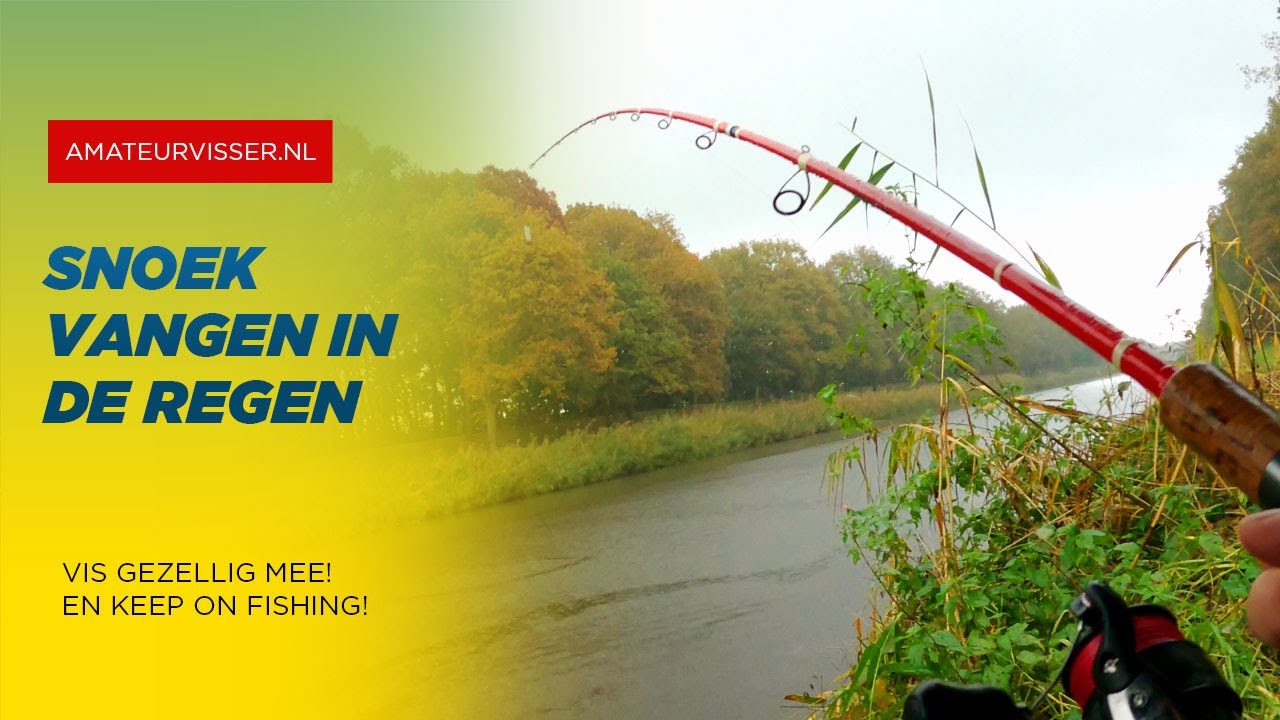 DOODAAS VISSEN op SNOEK met OLIE en SPRAYS plus TIPS en UITLEG