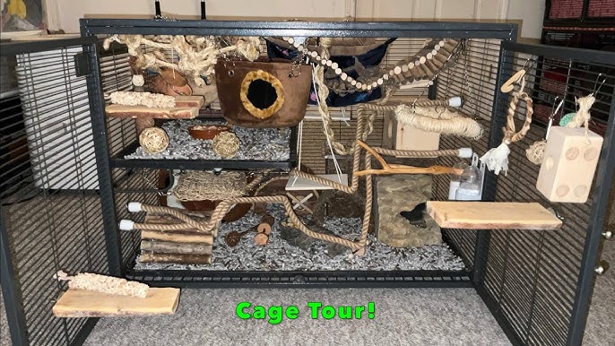 How to set up a Rat cage 