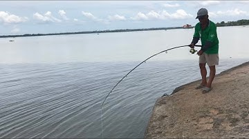 Recreational Fishing | Cá Ngát , Cá Dứa, Tôm #video #cauca #fishing #viral