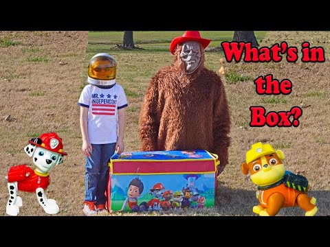 paw patrol treasure chest