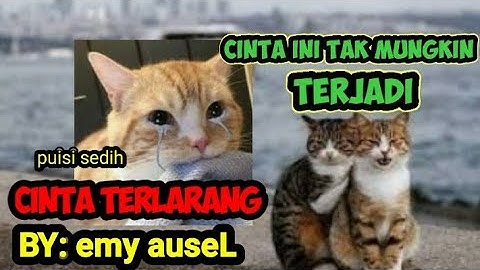 puisi cinta ini tak mungkin terjadi cinta terlarang