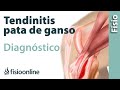 Cómo saber si tengo tendinitis de la pata de ganso