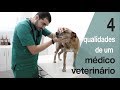 Quer ser veterinário? Veja esse vídeo antes || VeteriDica