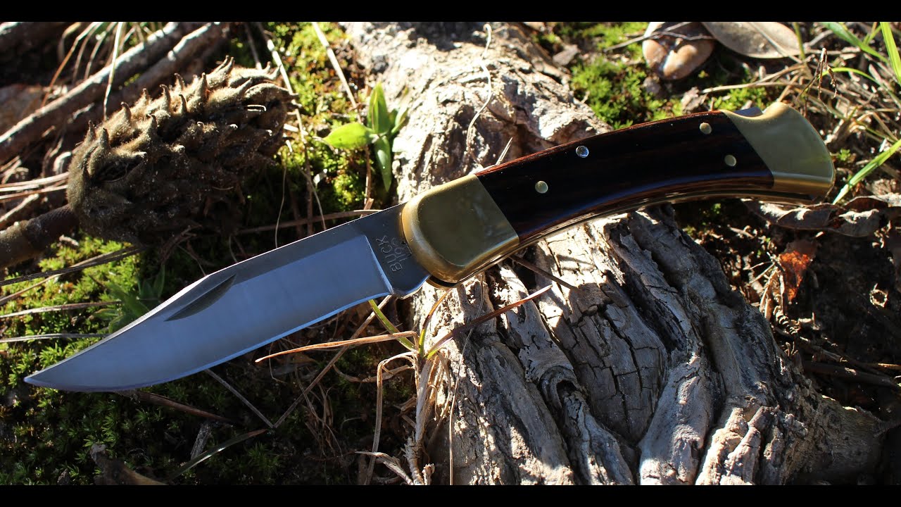 Buck 110 Folding Hunter Knife Review (Classy and Classic!) YouTube