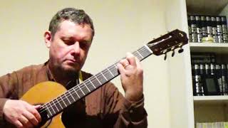 Video thumbnail of "Spain (Chick Corea) - guitar solo"