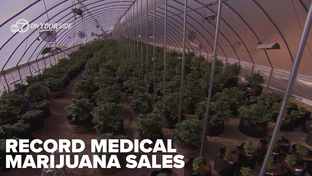 Arkansas sees record year in medical marijuana sales