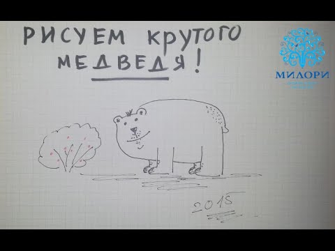 Как нарисовать медведя поэтапно