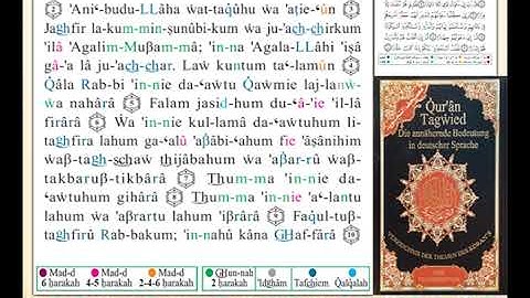 ختمة من مصحف التجويد باللغة الألمانية الصفحة رقم 570