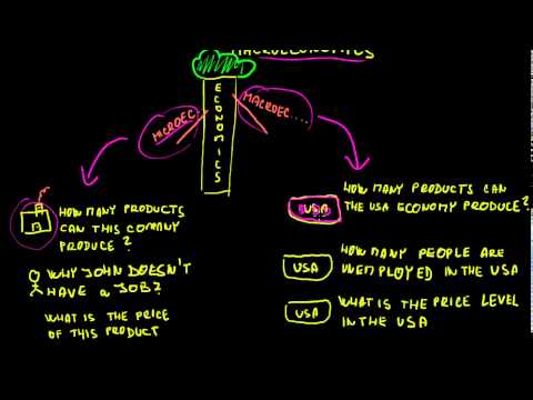 Microeconomics 2: Microeconomics and Macroeconomics