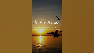 سورة الفجر. #اكسبلور #اسلام #المصحف #راحة_نفسية #تيك_توك #تلاوة_خاشعة #لايك #قرآن #islam #muslim