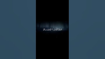 سورة التوبة || أبو بكر الشاطري، دعواتكم لِجدتي وعمي بالرحمة والمغفرة #quran #قرآن.