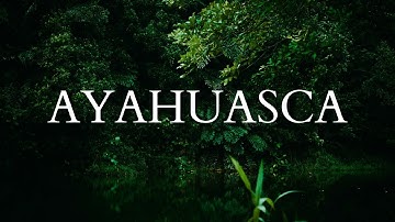 What Ayahuasca Does to Your Mind & Body