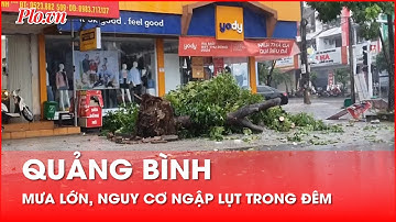 Cây xanh gãy đổ, mưa trắng trời, nguy cơ gây ngập lụt ở Quảng Bình - PLO