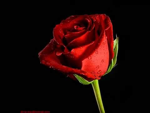 Cheb Khaled Khsara Fik 2011 By Néji Omar Flv 