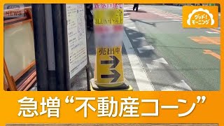 都内に急増　不動産広告コーン　歩道を占拠「車道歩いて危険」自治体は撤去に追われる【もっと知りたい！】【グッド！モーニング】(2026年10月28日)
