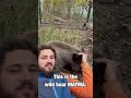 Моя домашняя животинка 🐗 Pet, wild boar.